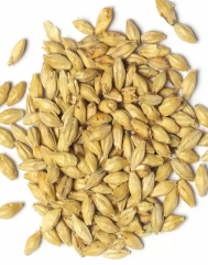 Pilsen Malt - Malt Hà Lan