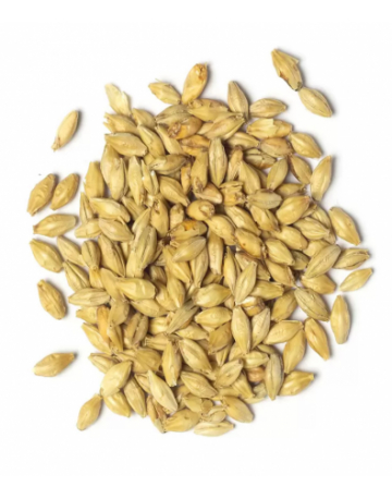 Single product image