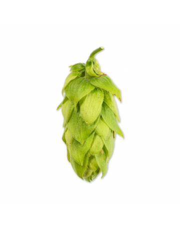 Single product image